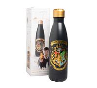 Grupo Erik Metal Water Bottle 500ml / 17oz - Dobby Harry Potter Merch | Hot and Cold Water Bottle Stainless Steel, Cute Travel Bottles Gym | Harry Potter Gifts Under 20 Pounds