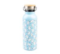 Grupo Erik Metal Water Bottle 500ml / 17oz - Moomins Gifts | Hot and Cold Water Bottle Stainless Steel, Cute Travel Bottles Gym | Moomin Gifts Under 20 Pounds