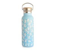 Grupo Erik Metal Water Bottle 500ml / 17oz - Moomins Gifts | Hot and Cold Water Bottle Stainless Steel, Cute Travel Bottles Gym | Moomin Gifts Under 20 Pounds