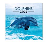 Grupo Erik: Official Dolphins 2022 12' x 12' Square Wall Calendar 2022, Family, Dolphins Animals Calendar