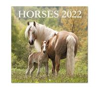 Grupo Erik: Official Horses 12' x 12' Square Wall Calendar 2022, Family Calendar, Horses Calendar - Animals Calendar