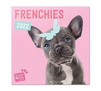 Grupo Erik: Official Studio Pets Frenchies 2022 Wall Calendar, 2022 Calendar, 12' x 12' Square Wall Calendar 2022, Family Calendar 2022, Dogs Calendar 2022 - Kids Calendar 2022