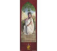 Grupo Erik Poster Harry Potter Gryffindor Password - 20.8 x 62.2 inches / 53 x 158 cm - Shipped Rolled Up - Cool Posters, Art Poster, Door Posters & Prints