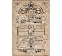 Grupo Erik Poster Harry Potter Poster Hogwarts - 36 x 24 inches / 91.5 x 61 cm - Shipped Rolled Up - Cool Posters - Art Poster - Posters & Prints - Wall Posters
