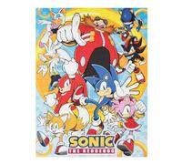 Grupo Erik Puzzle - Sonic The Hedgehog | 500 Piece Jigsaw Puzzles 24 x 17 inches - 61 x 45.7 cm | Includes Gift Box & Poster | Home Decor