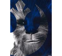 Grupo Erik - Star Wars Episode IX Chewbacca Print, 30 x 40 cm