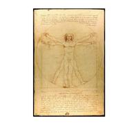 Grupo Erik Vitruvian Man Poster - 35.8 x 24.2 inches / 91 x 61.5 cm - Shipped Rolled Up - Cool Posters - Art Poster - Posters & Prints - Wall Posters, Leonardo's Vitruvian Man, (GPE5819)