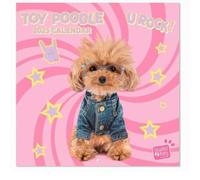 Grupo Erik Wall Calendar 2025 - Poodle | 12" x 12" Square Calendar 2025, Wall Planner 2025, Family Planner Calendar 2025 | Poodle Calendar 2025, Dog Calendar 2025