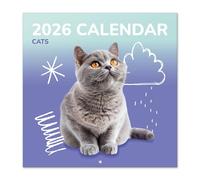 Grupo Erik Wall Calendar 2026 - Cat Calendar 2026 | Square 30 x 30 cm - 12 x 12 inches Wall Planner, Family Planner Month To View | Gifts For Cat Lovers, Gifts For Friends