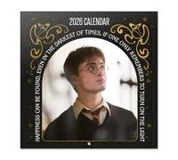 Grupo Erik Wall Calendar 2026 - Harry Potter Calendar 2026 | Square 30 x 30 cm - 12 x 12 inches Wall Planner, Family Planner Month To View | Gifts Harry Potter Merchandise, Gifts For Friends