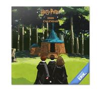Grupo Erik Wall Calendar 2026 - Harry Potter Calendar 2026 | Square 30 x 30 cm - 12 x 12 inches Wall Planner, Family Planner Month To View | Gifts Harry Potter Merchandise, Gifts For Friends