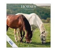 Grupo Erik Wall Calendar 2026 - Horses Calendar 2026 | Square 30 x 30 cm - 12 x 12 inches Wall Planner, Family Planner Month To View | Horse Gifts For Friends