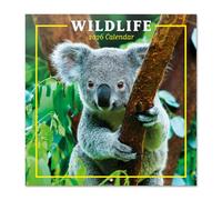 Grupo Erik Wall Calendar 2026 - Wildlife Calendar 2026 | Square 30 x 30 cm - 12 x 12 inches Wall Planner, Family Planner Month To View | Wildlife Gifts For Friends