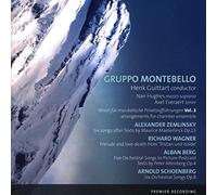 Gruppo Montebello/Hughes, Nan/Everaert, Axel - ZEMLINSKY/WAGNER/BERG/SCHOENBERG:Verein für musikalische Privataufführungen Vol.3