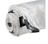 Gruytoie Clear Tarp Waterproof, Tarps Heavy Duty with Grommets Outdoors Vinyl Plastic Tarpaulin 400g/m², 0.35mm for Patio Greenhouse Chicken Coop Covers (C 9x10m/29.5x32.8ft)