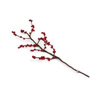 Gry & SIF Felt Berry Branch, Flexible Handle, Decorative Branch for Vases, Artificial Rose Hips, Artificial Branch, Handmade Autumn Decoration, 1 x Branch with Red Berries, 60 cm