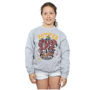 Gryffindor Seeker Sweatshirt Harry Potter Grey 5-6 Years