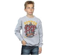 Gryffindor Seeker Sweatshirt Harry Potter Grey 9 Years
