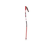 GS ALUMINIUM Junior ski sticks