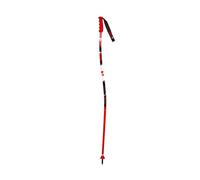 GS ALUMINIUM Senior ski sticks