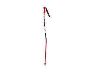GS ALUMINIUM Senior ski sticks