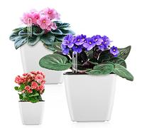 GS Garden Self Watering Planters for Indoor Plants : 5 inch 3 Pack White African Violet Self Watering Flower and Herb pots