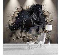 GSAEIMCT Dark Horse Breaks Through The Wall Wallpaper Mural Fantasy Animals Black Art Background Wall Large Mural for Living Room Bedroom,300X210Cm
