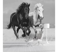 GSAEIMCT Photo Wallpaper 3D Effect Panoramic Mural Horses in The Field Realistic Animals Black White Wall Mural 350X260Cm for Living Room Bedroom Home Decoration,Silk Wall Poster Adult Children