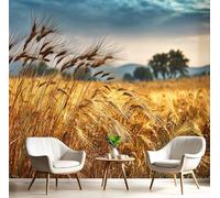 GSAEIMCT Rural Wheat Fields Murals Golden Yellow 3D Fantasy Field Wallpaper Mural Photo Wall Art Bedroom Wallpaper Tv Background for Living Room Bedroom Hallway Feature Walls Decoration,450X300Cm