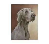 GSBRSNTS 5D DIY Full Round Drill Diamond Painting，Weimaraner Dog，Embroidery Full Round Diamond Cross Stitch Rhinestone Mosaic Decor Gift（50 x 60 cm/19.68 x 23.62 inches）-A44