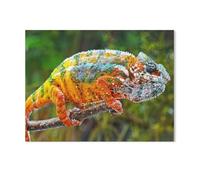 GSBRSNTS Colorful DIY Paint by Number Kit for Families,Panther Chameleon in All The Brilliant Colours of The Rainbow,Fun Relaxing Art Activity,Complete Set with Canvas Paints(40x50cm-AB65