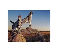 GSBRSNTS DIY Diamond Art Kits，Cheetah，Full Drill Round Rhinestone Diamond Art Painting Accessories, Cross Stitch Embroidery Canvas for Crafts Home Wall Decor（30 x 40 cm/11.81 x 15.74 inches）-A28