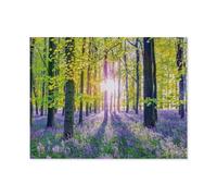 GSBRSNTS DIY Oil Painting Paint by Number Kit，Delicate bluebells in The Forest，DIY Painting by Number Kits Oil Paint Drawing Canvas Home Decor Gift(40x50cm-E85