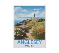 GSBRSNTS Paint by Numbers for Adults Kids Beginner，Anglesey Wales Vintage Travel Poster，DIY Acrylic Painting by Numbers Kits with Brushes Acrylic Pigment Home Decoration Brithday Gifts(30x40cm-I52