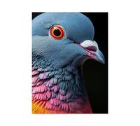 GSBRSNTS Paint by Numbers for Adults Kids Beginner,Pigeon,DIY Acrylic Painting by Numbers Kits with Brushes Acrylic Pigment Home Decoration Brithday Gifts(30x40cm-F52
