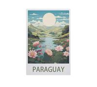 GSBRSNTS Paint by Numbers，Paraguay，DIY Paint by Numbers Kits for Adults Kids,Canvas Oil Painting with Brushes and Acrylic Pigment Paint by Numbers Arts Craft for Home Wall Decor(20x30cm-AJ96