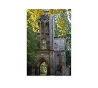 GSBRSNTS Templar House in Weimar，Beginner-Friendly Paint-by-Number Kit,Easy Introduction to Art(50x60cm)-AS19