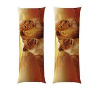 GSGCSBYMLG African Lion and Lioness printed Long Body Pillowcase 20x54in Rectangular cushion cover