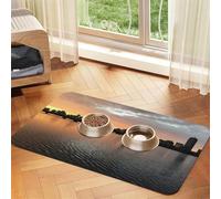 GSGCSBYMLG Boston Charles River City Skyline Sunset printed Pet absorbent leather tablecloth Placemat