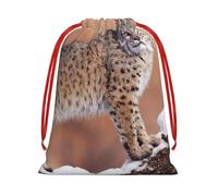 GSGCSBYMLG Canada Lynx printed Drawstring Gift Bag Candy Bag Party Gift Bag