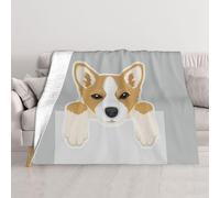 GSGCSBYMLG Cute Cartoon Welsh Corgi Dog printed Blanket Plush blanket decoration throw blanket