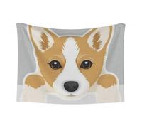 GSGCSBYMLG Cute Cartoon Welsh Corgi Dog printed Pet Blanket Doudou Velour Reversible Blanket