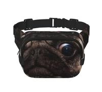 GSGCSBYMLG Cute Pet Pug Printed Square Double Layer Waist Bag Travel Bag