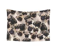 GSGCSBYMLG cute Pug printed Pet Blanket Doudou Velour Reversible Blanket