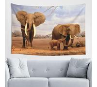 GSGCSBYMLG Elephant Family printed tapestry 60 * 40inch Aesthetic tapestry indoor decor