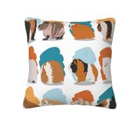GSGCSBYMLG Guinea Pig Illustration printed Velvet pillowcase decorative cushion cover
