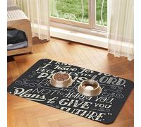 GSGCSBYMLG I Know The Plans Have You Declares Lord printed Pet absorbent leather tablecloth Placemat