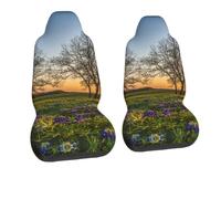 GSGCSBYMLG Lavender Meadow at Sunset Spring printed The car chair cover universal car seat protection cover