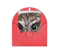 GSGCSBYMLG Owl Birds printed Greeting card with Envelopes Thank You Card