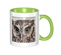 GSGCSBYMLG Owl Birds Printed Mug Ceramic Mug Ceramic Coffee Cup